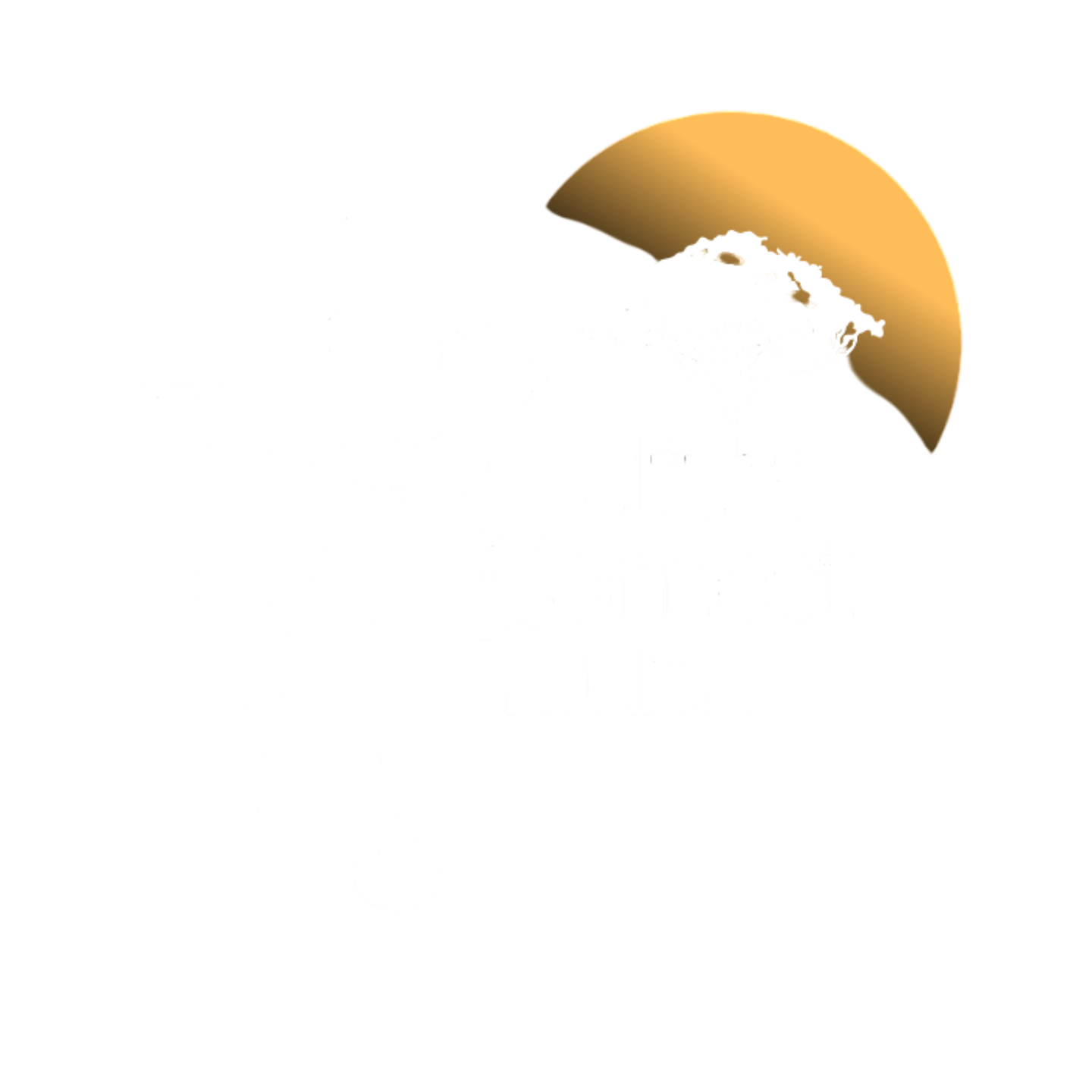 Kora Culture Connect Tours & Travel